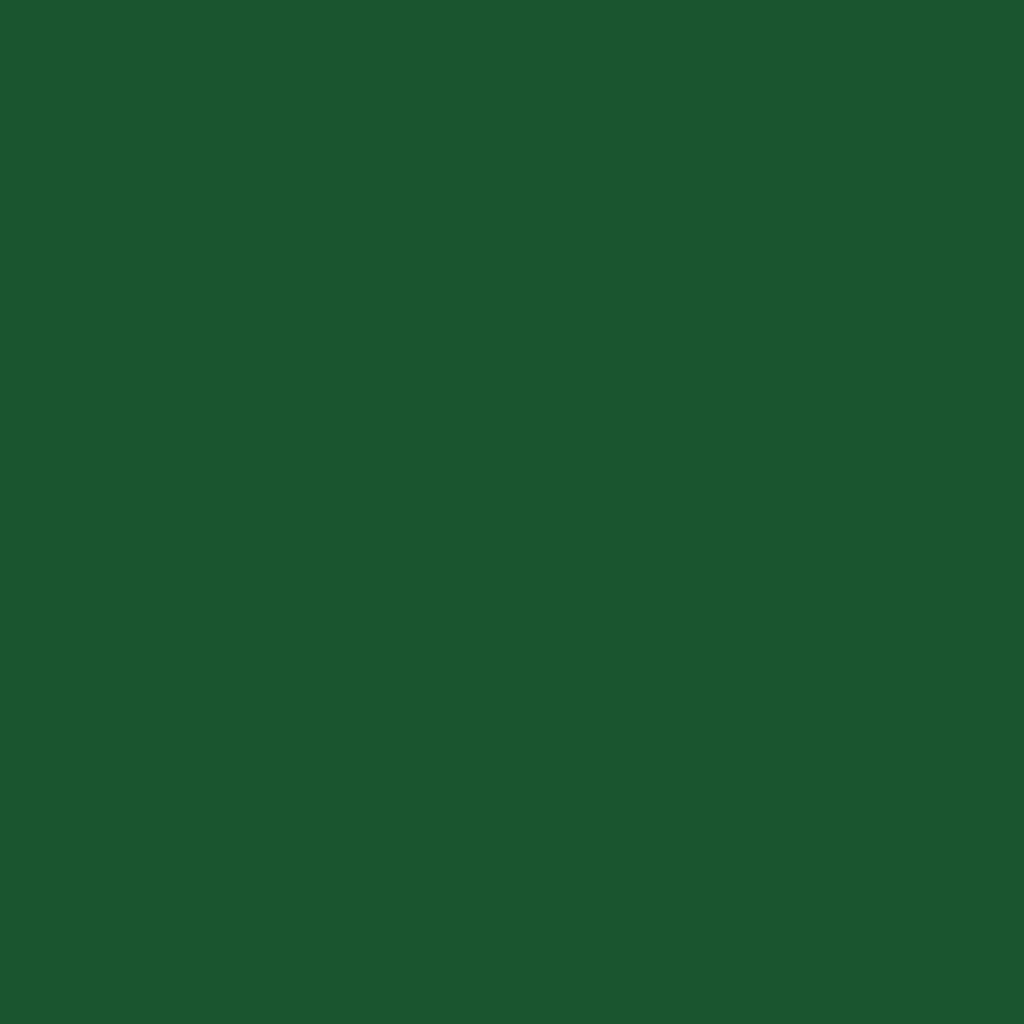 RAL 6035 Pearl green entry-doors door-colors ral-colors ral-6035-pearl-green texture