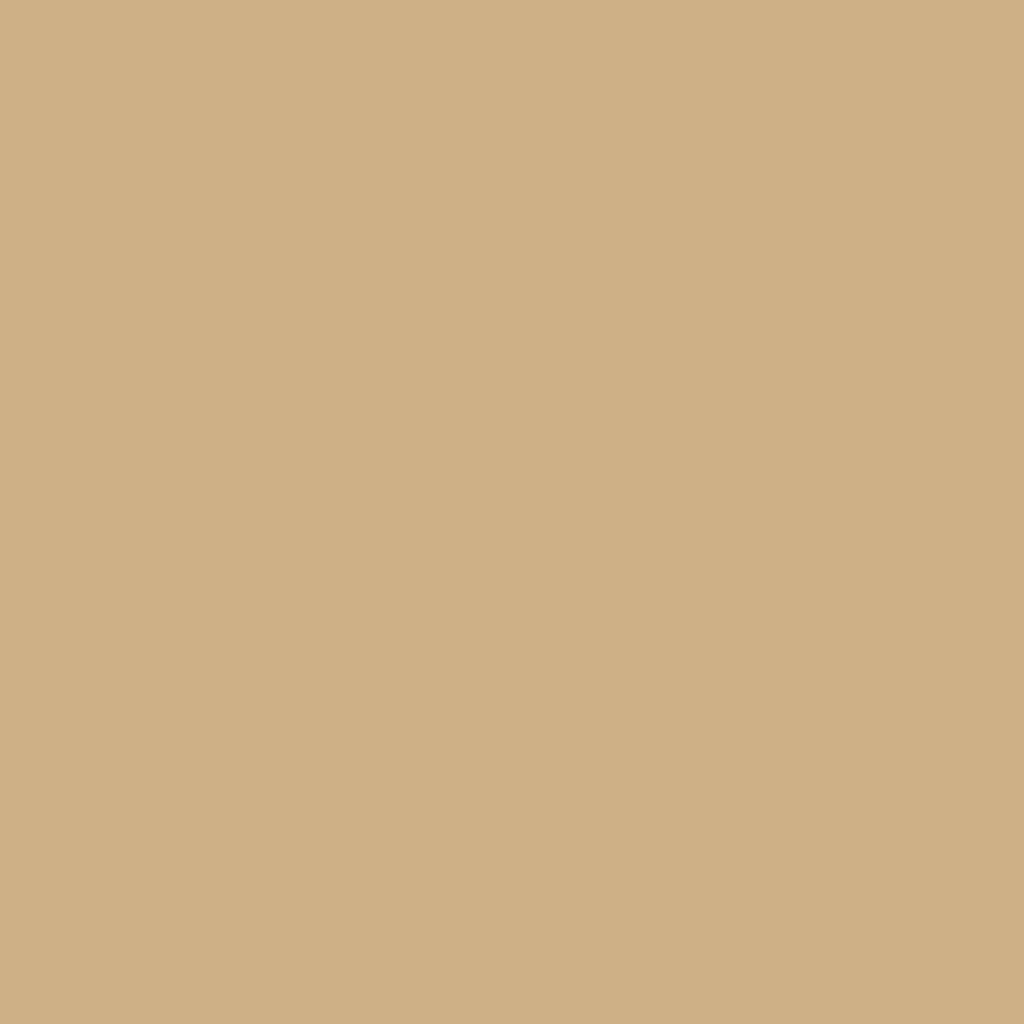 RAL 1001 Beige entry-doors door-colors ral-colors ral-1001-beige texture