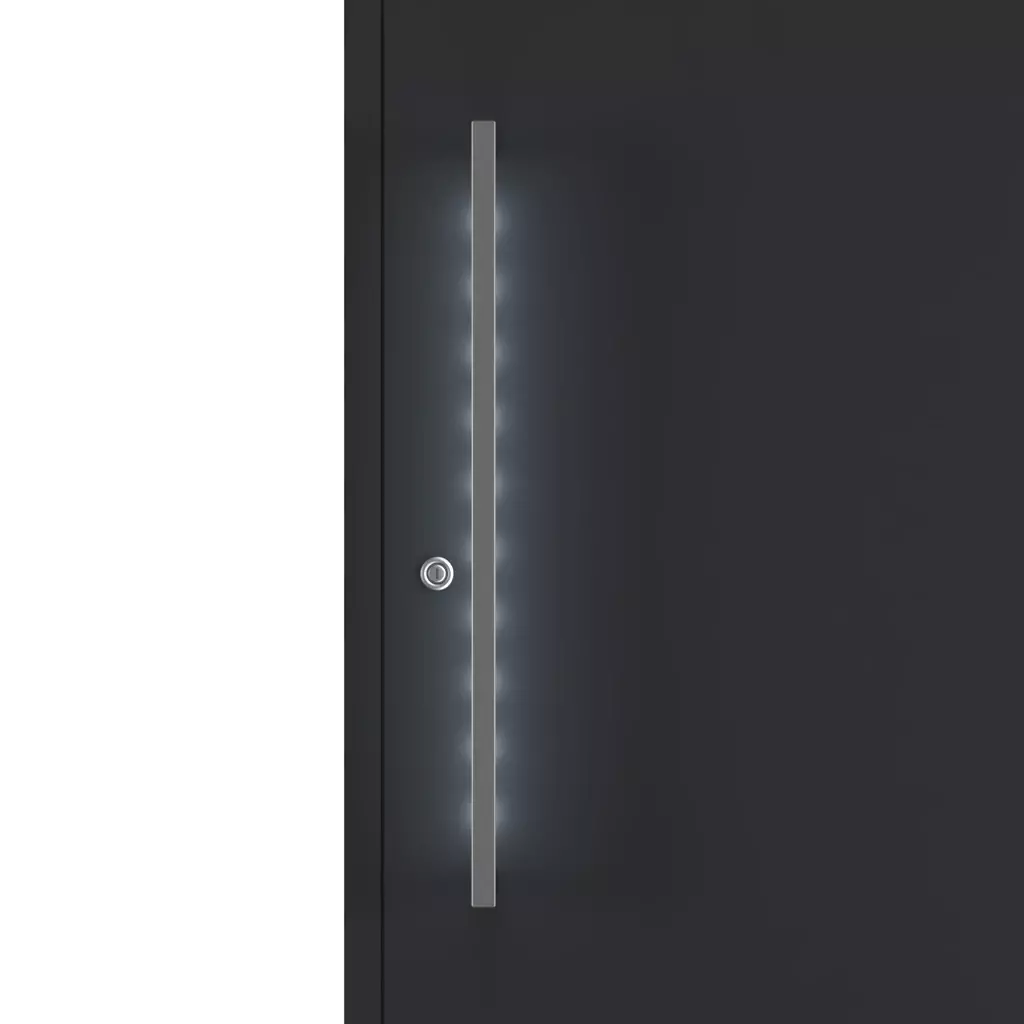 Pull handle illumination entry-doors models cdm model-22